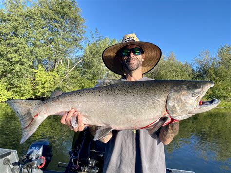 sacramento river salmon fishing report|Iba pa.